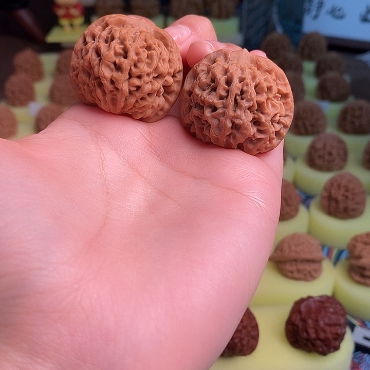 核桃秦岭闷尖狮子头35