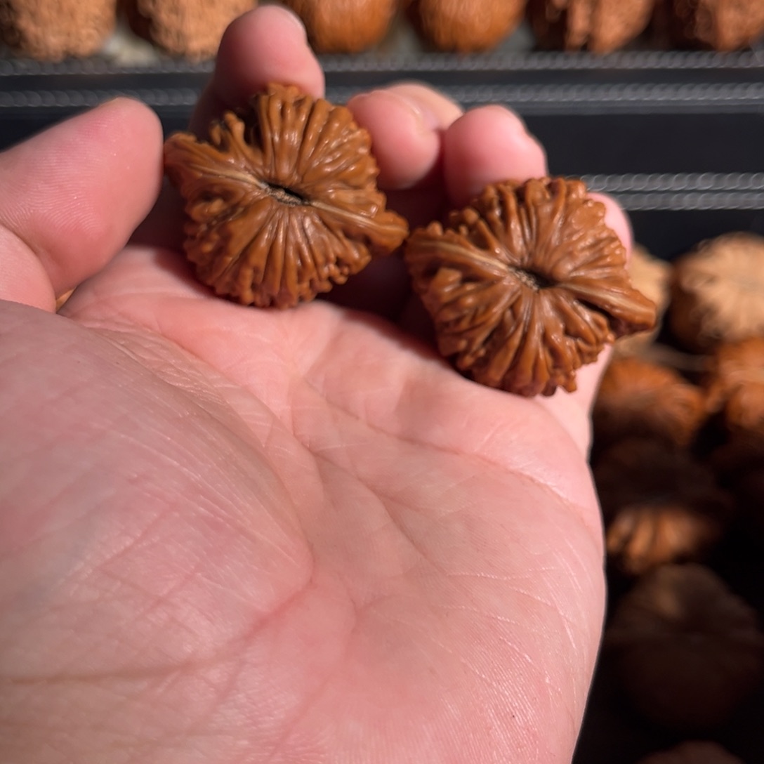 手串/手链核桃40全品平谷四座楼