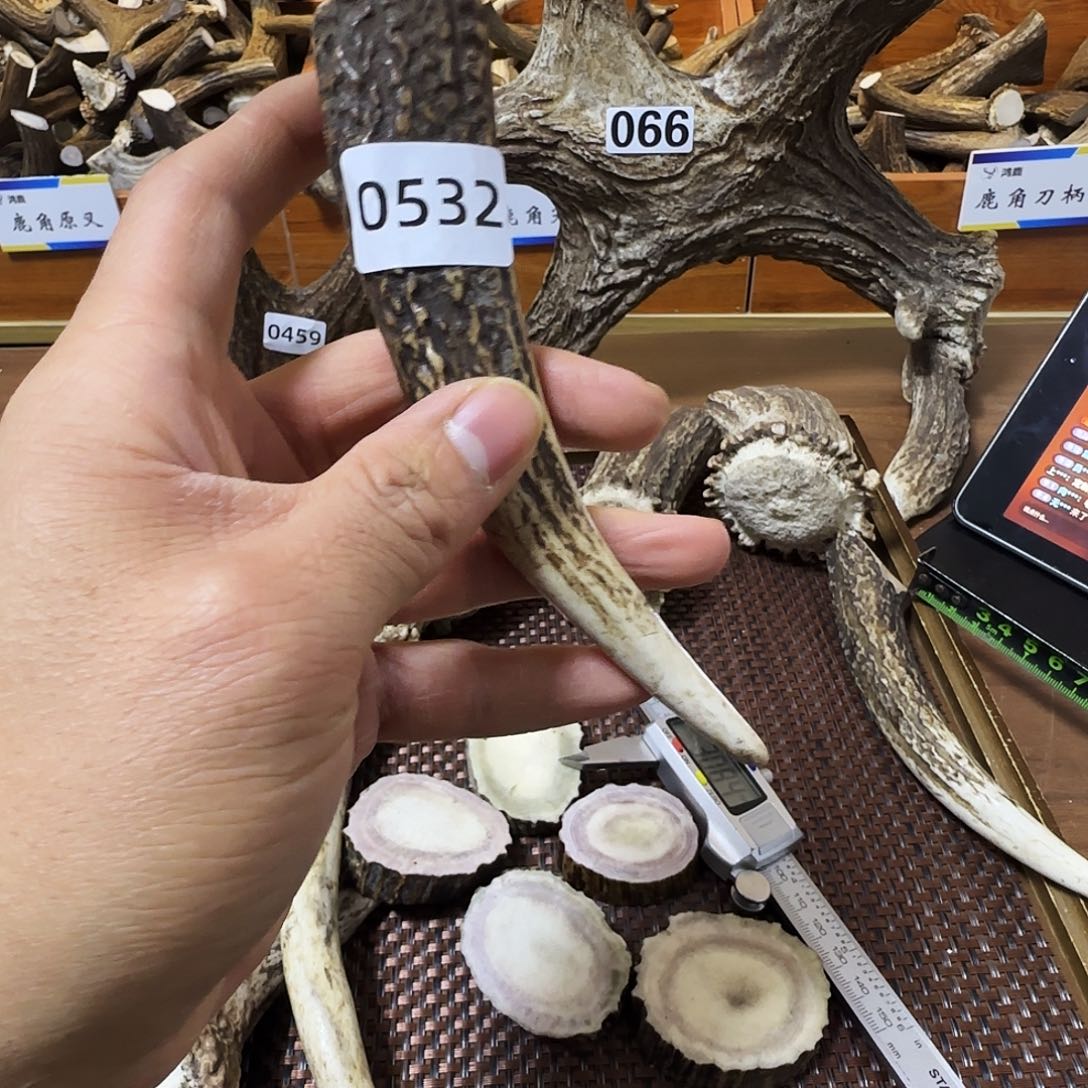 鹿骨手串/手链梅花鹿尖0532