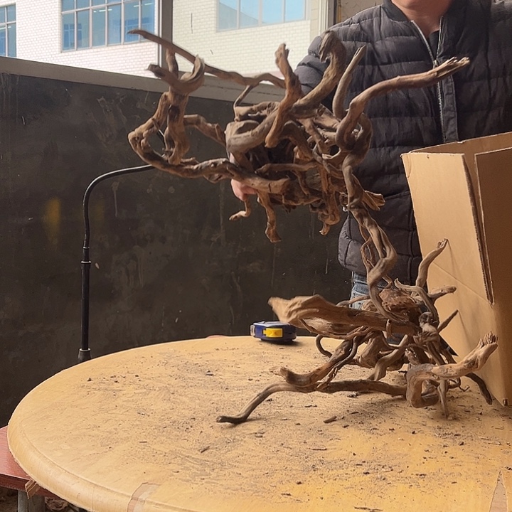 关***房木材鱼缸造景根雕艺术500