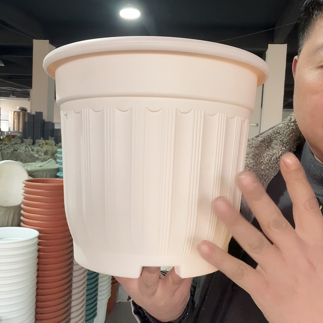 树脂罗马280蓝4个带托