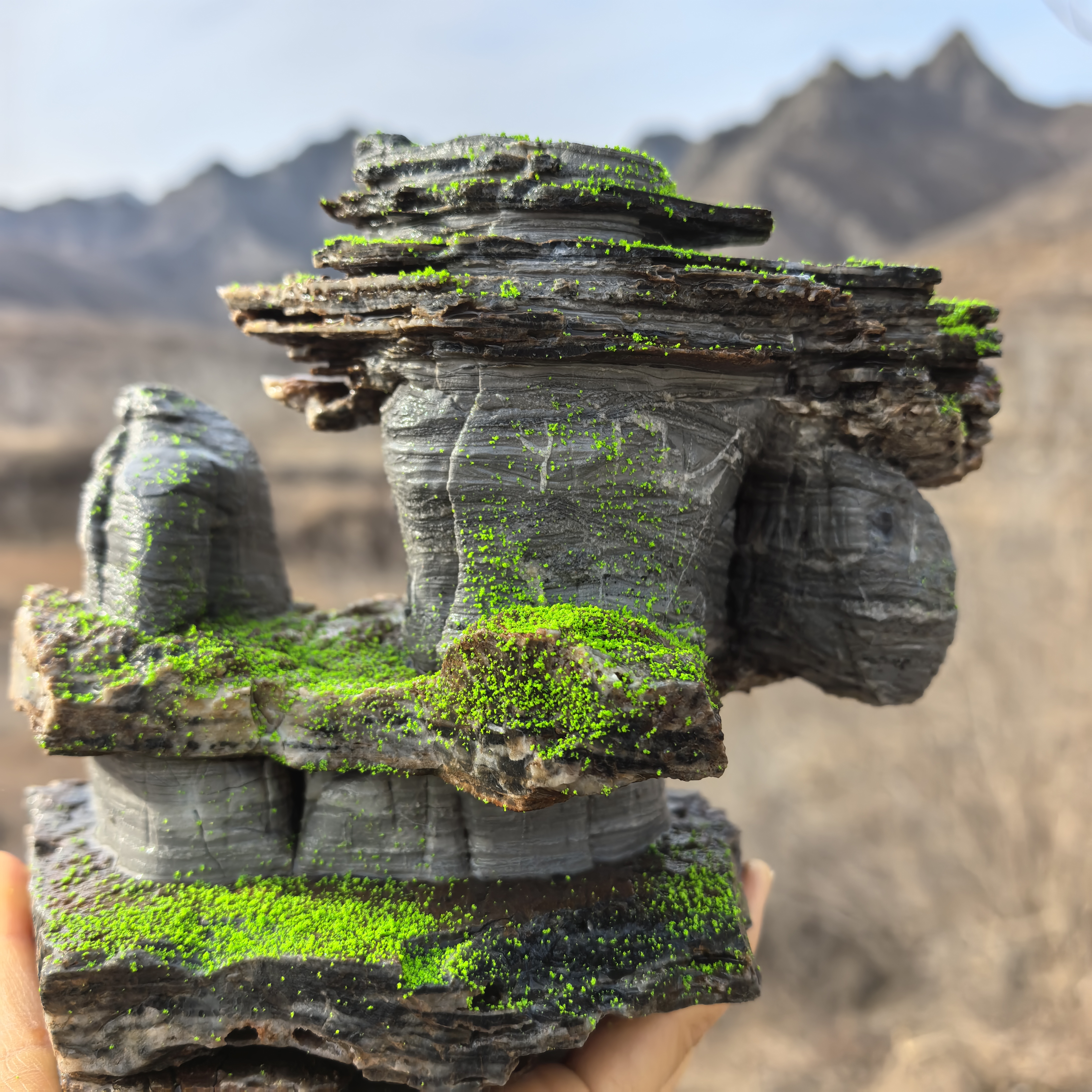 一物一拍不要看图需在直播间买货不支持退货犹豫勿拍