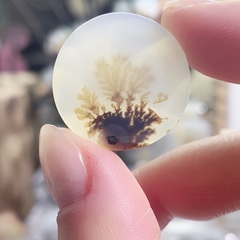 玛瑙/玉髓珠宝奇石未镶嵌