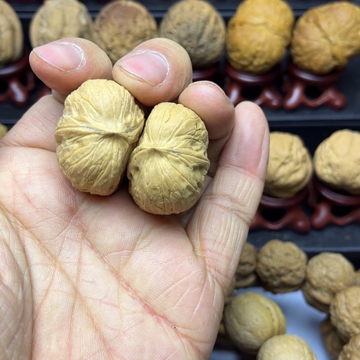 核桃云南铁核桃杨桃半臂15