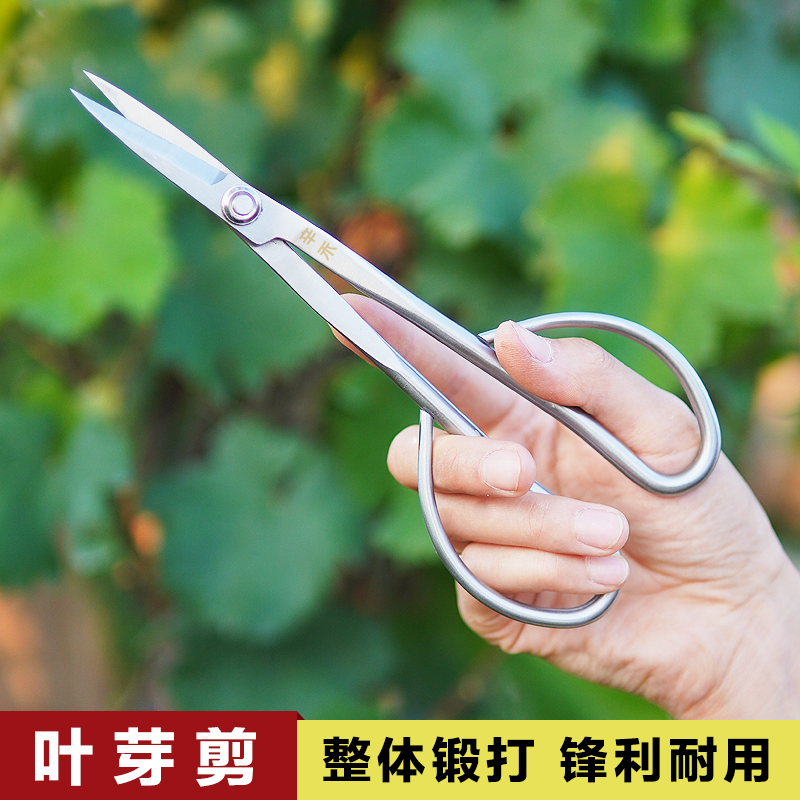 辛禾不锈钢叶芽剪嫩叶剪小叶剪盆景修剪工具园艺剪刀盆栽修枝剪