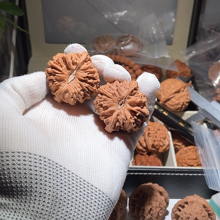 下****你42➕全品无修百花山狮子头