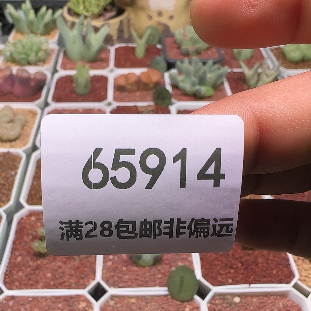 一****850，888。              