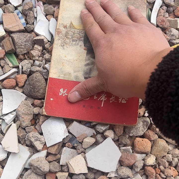 千***每杂色豆（科檀/科特迪瓦檀木）