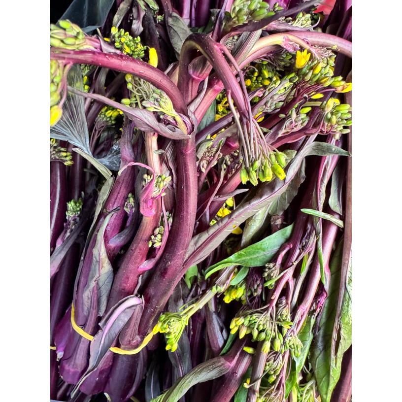 湖北农家自种露天红菜苔现采现发新鲜美味