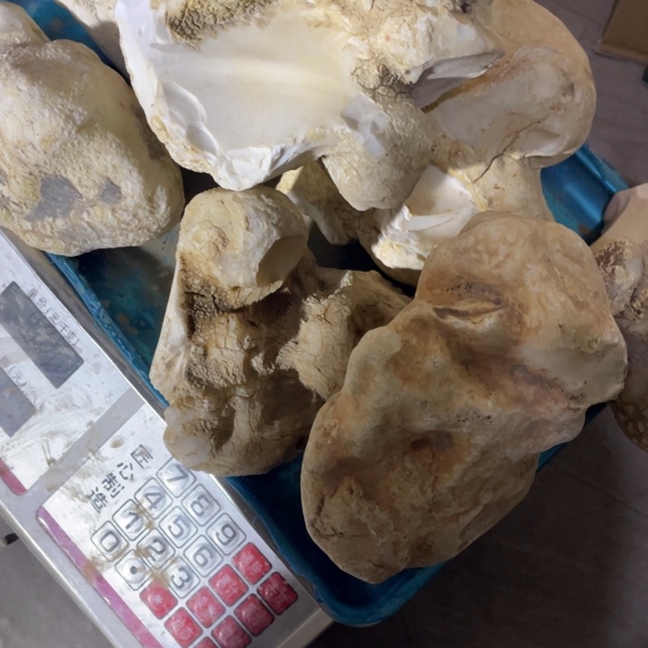 品***艺石材奇石怪石材料