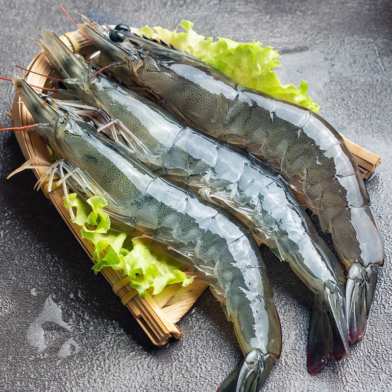 渔船上岸海洋大虾海水虾大号海虾14-18只速冻锁鲜新鲜味美原盒5斤