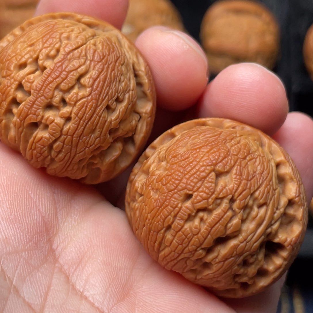 文玩核桃把件36尺寸龙珠