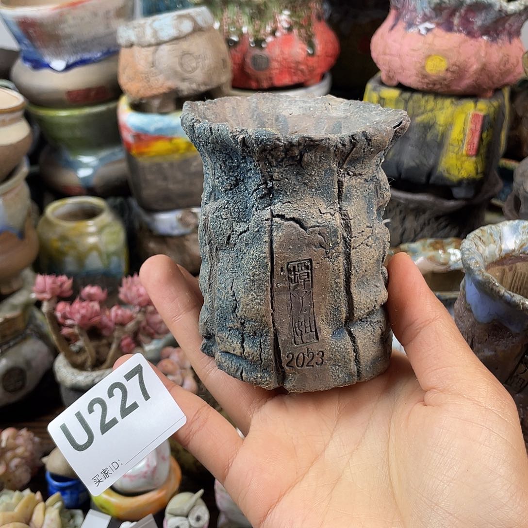 默认微次 跨年福利 坛子姐花盆