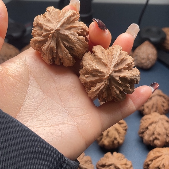 龙脊菩提把件秦岭核桃