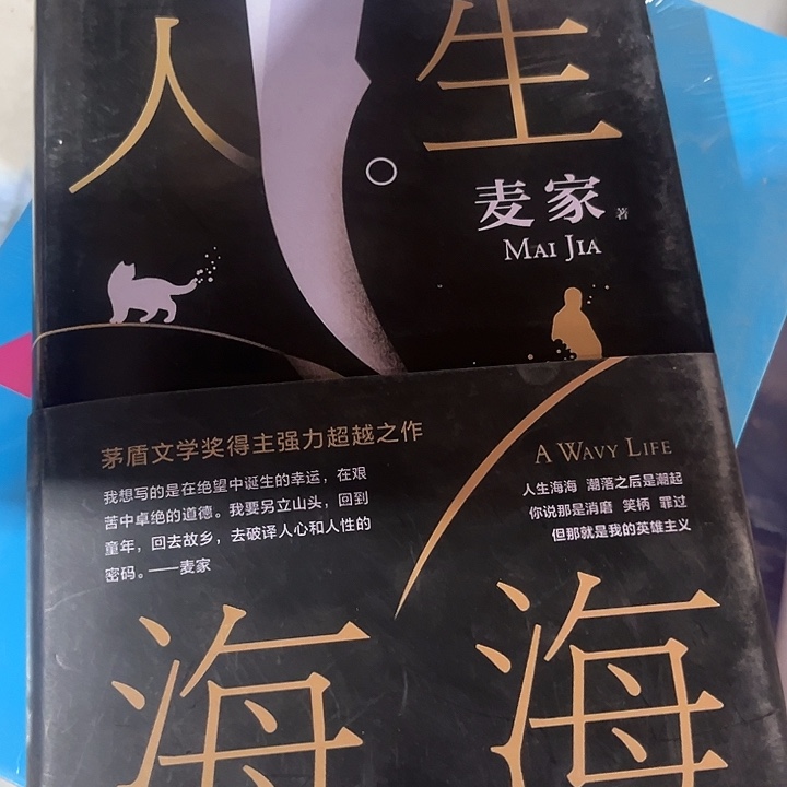 人生海海新书推荐精装