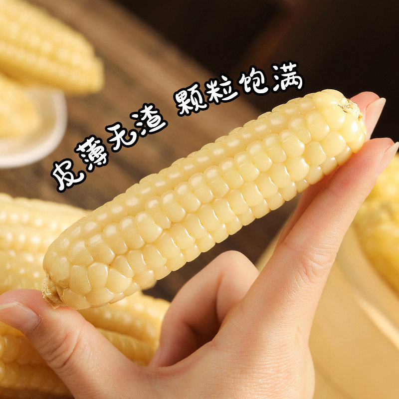 版纳小拇指玉米甜糯新鲜香糯拇指玉米真空装适合代餐【加热即食】