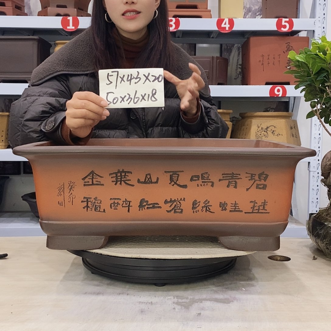 紫砂花盆紫砂花盆