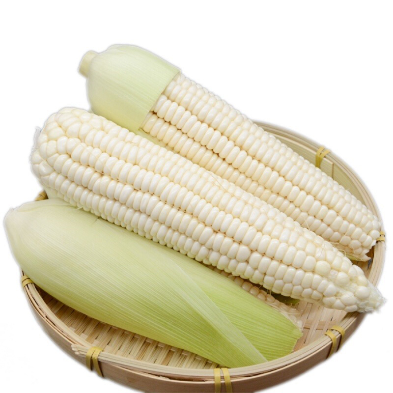 冷冻新鲜白糯玉米带皮现发甜糯可口（同城）