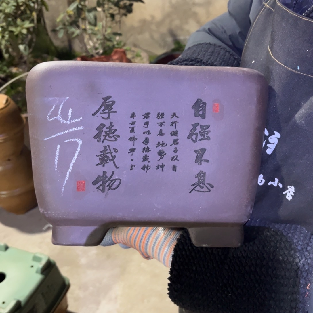 紫砂花盆盆景艺术