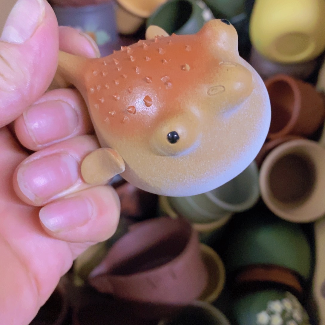 茶杯绿泥紫砂紫砂