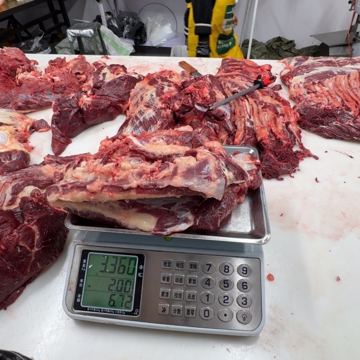 阳****12个月中国大陆马燕赤