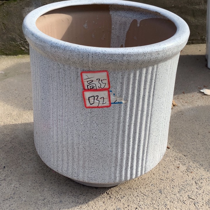 花盆里的小猫咪们都好可爱啊哈哈哈