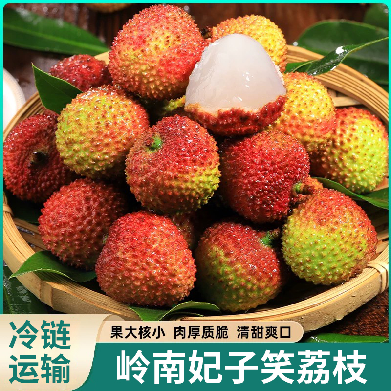 【林】广东头茬妃子笑荔枝新鲜现摘清甜多汁ems冷链24小时发货