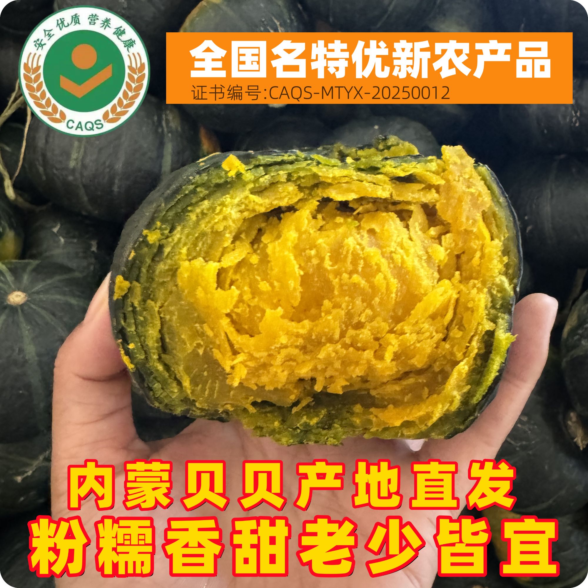 【超粉糯】内蒙头茬露天贝贝南瓜板栗味软糯香甜 产地直发F