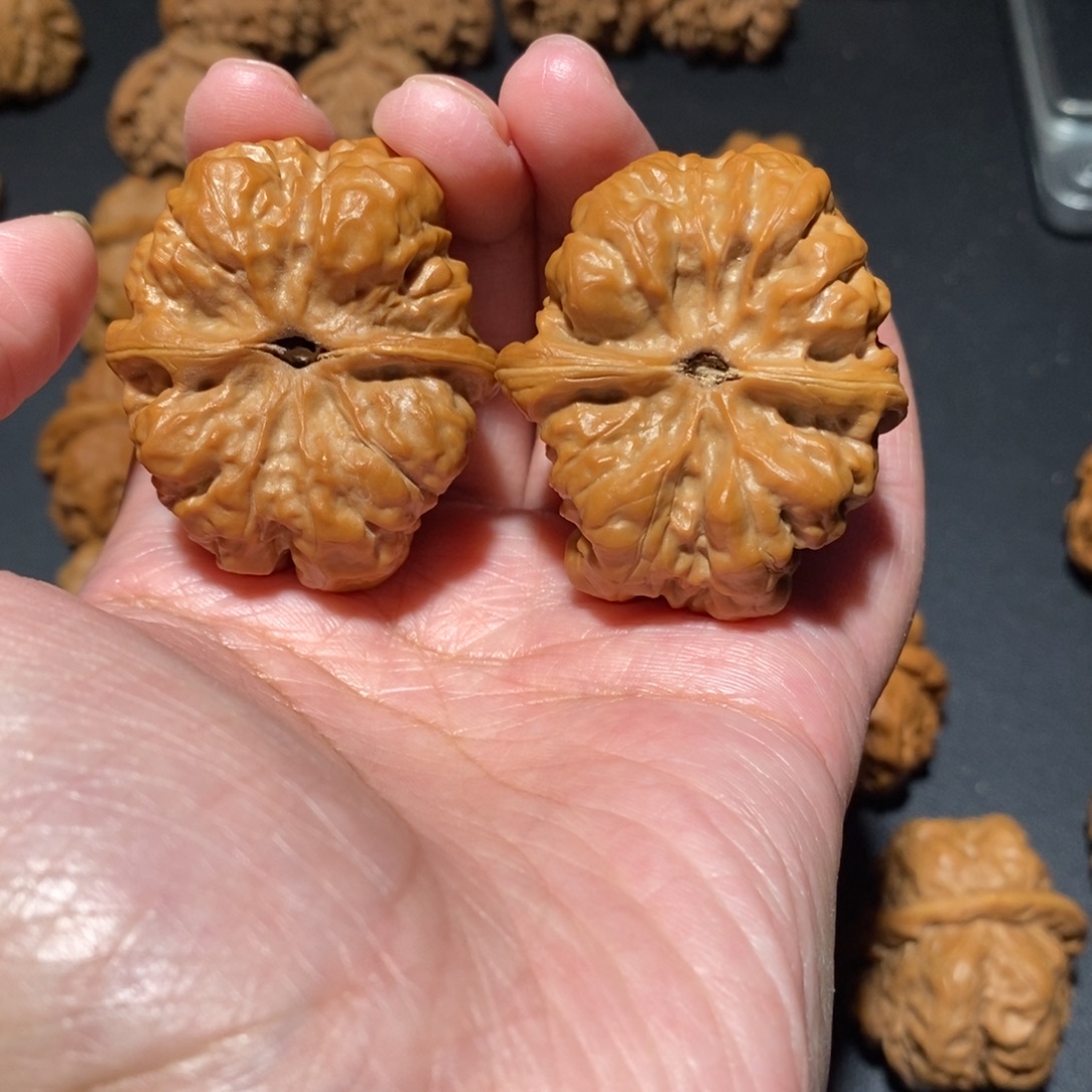 天***！文玩核桃把件蛤蟆