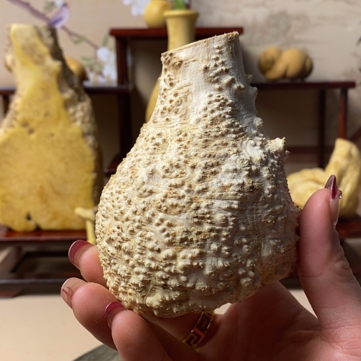 香榧木永*黄杨木手把件