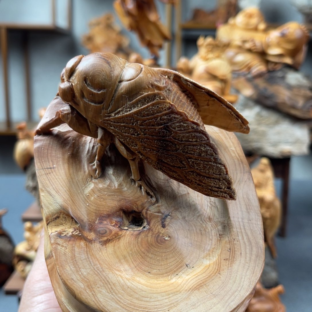 柏木（崖柏）5888888888888