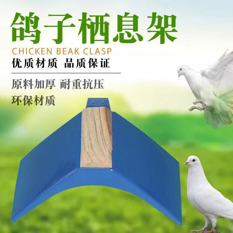 鸽子专用铁丝网塑料钩木条栖息架站架用品