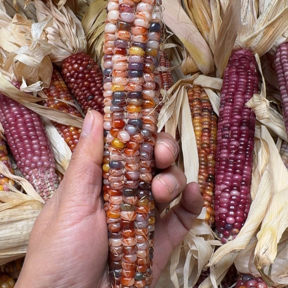 R***.柏香籽/百香籽吊坠