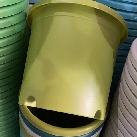 树脂四季4号微瑕果绿无托8个