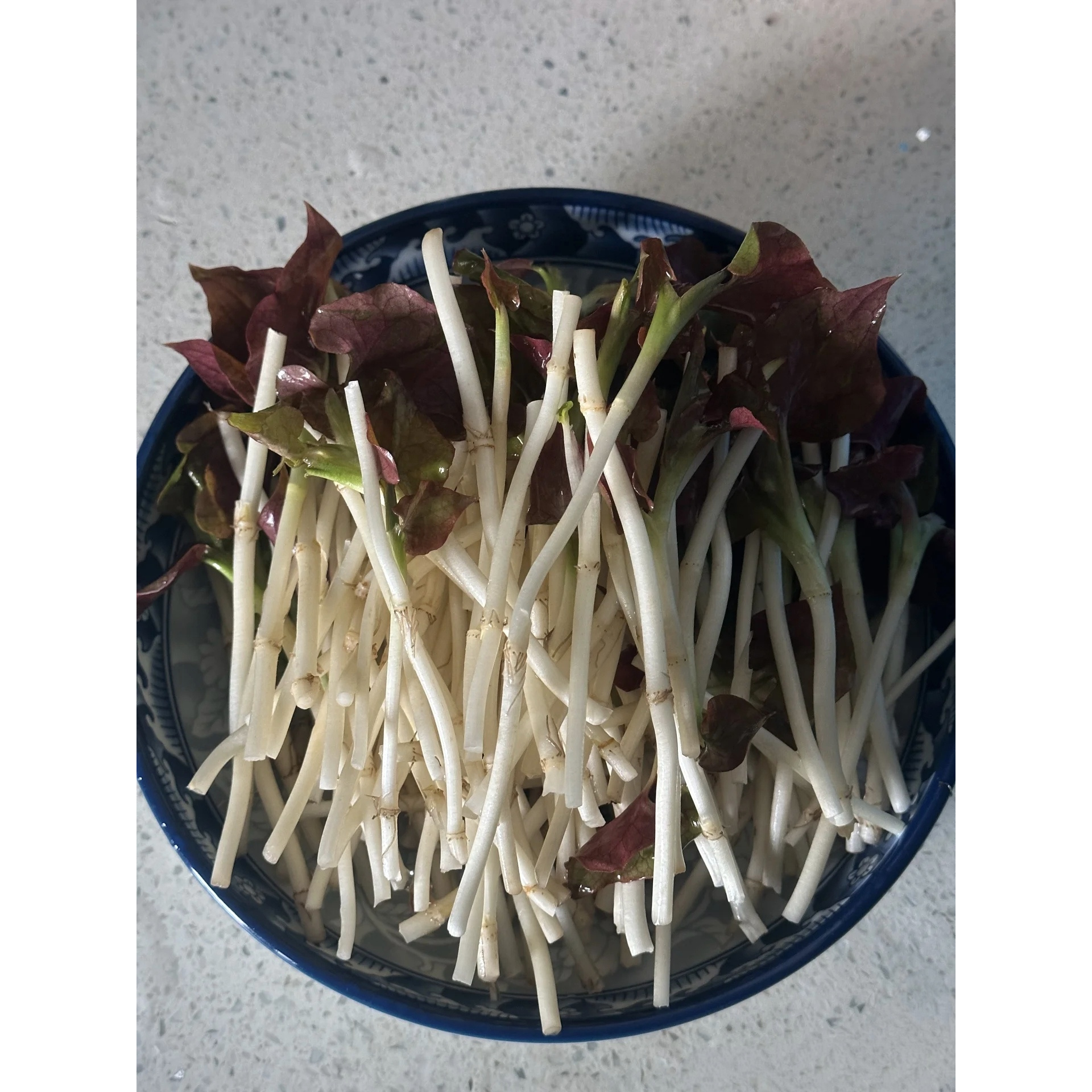 【发韵达快递】折耳根