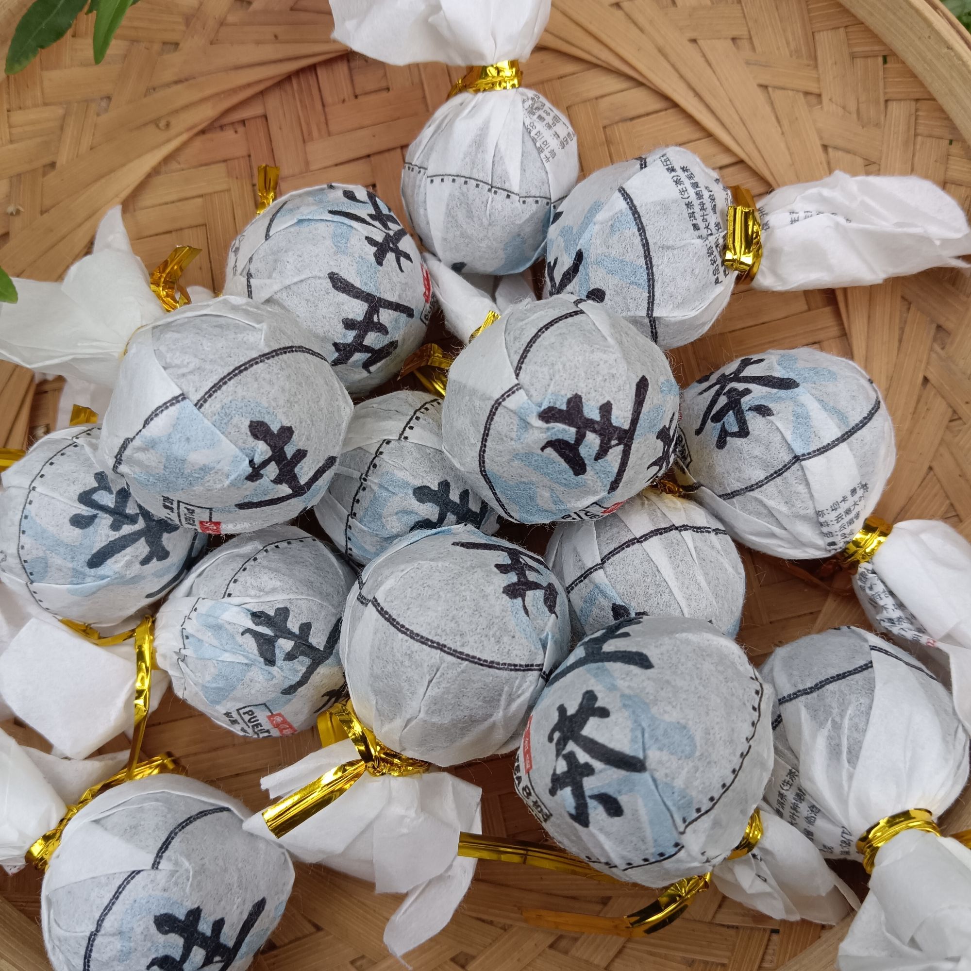 纳濮 2024年坝卡古树生茶龙珠