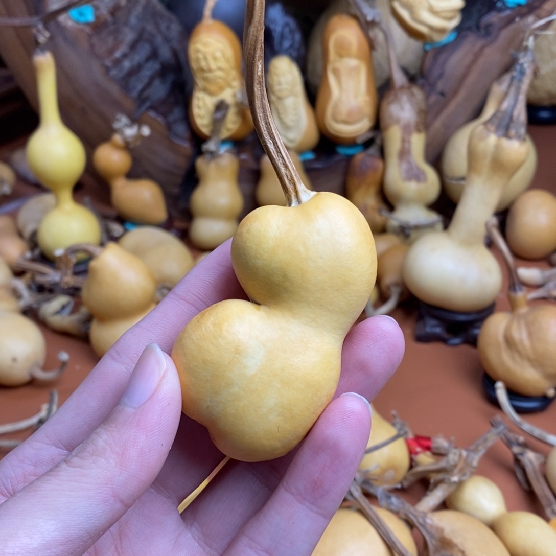 用***8考虑葫芦考虑考虑