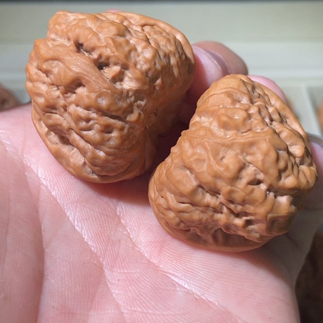 文玩核桃把件40昌平石子蛙