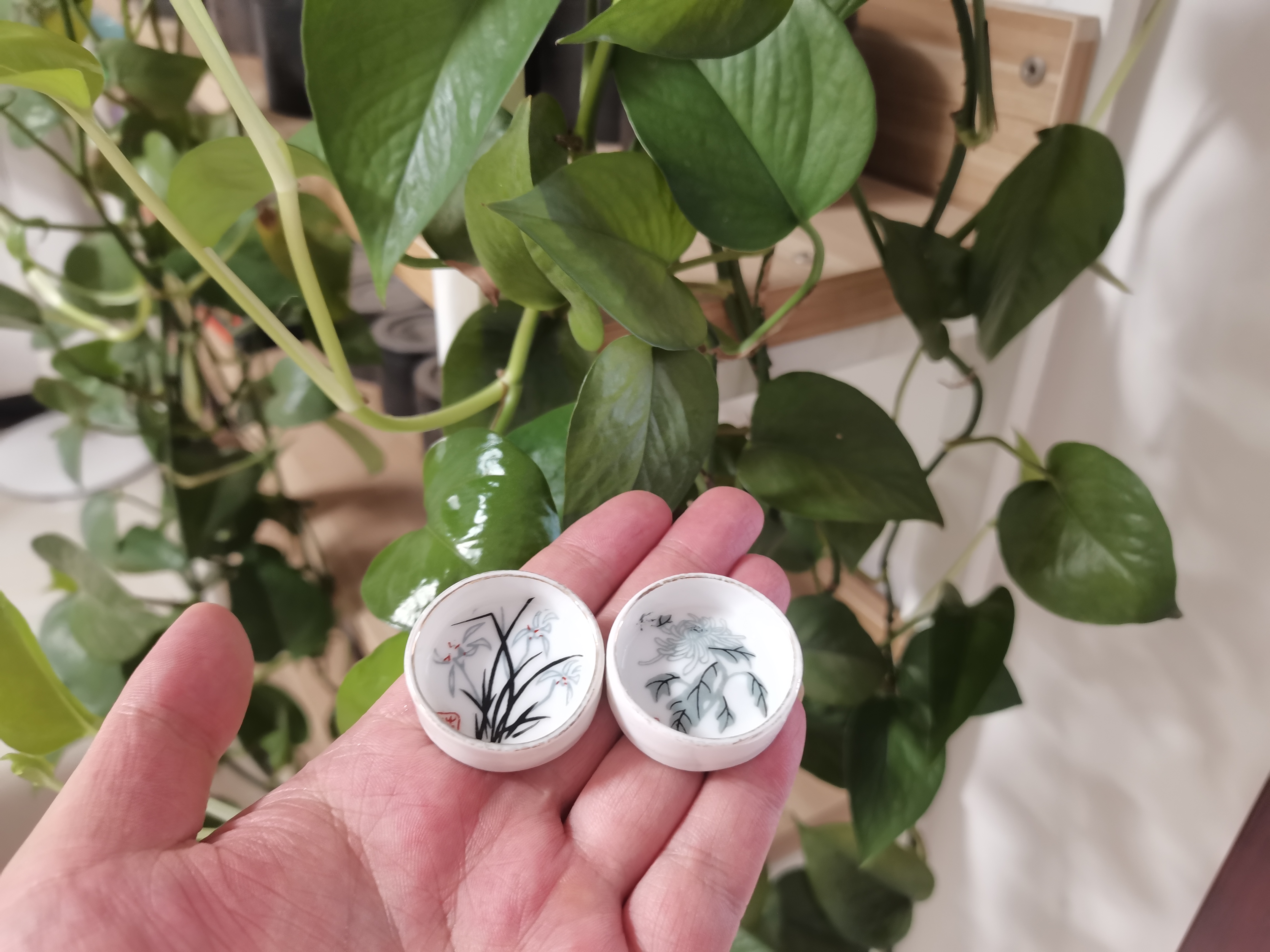 蟋蟀蛐蛐专用水槽瓷碗