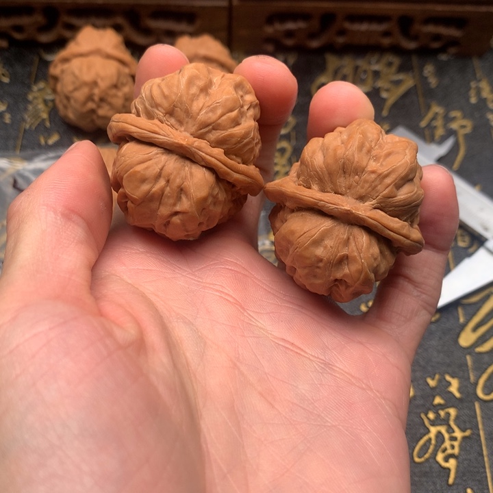 三醋酯纤维37尺蛤蟆头