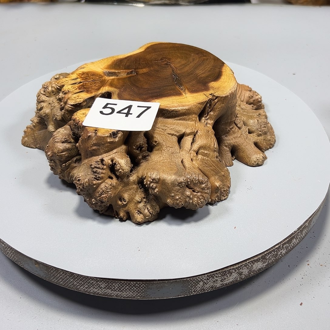 大果紫檀（缅甸花梨）漫**步