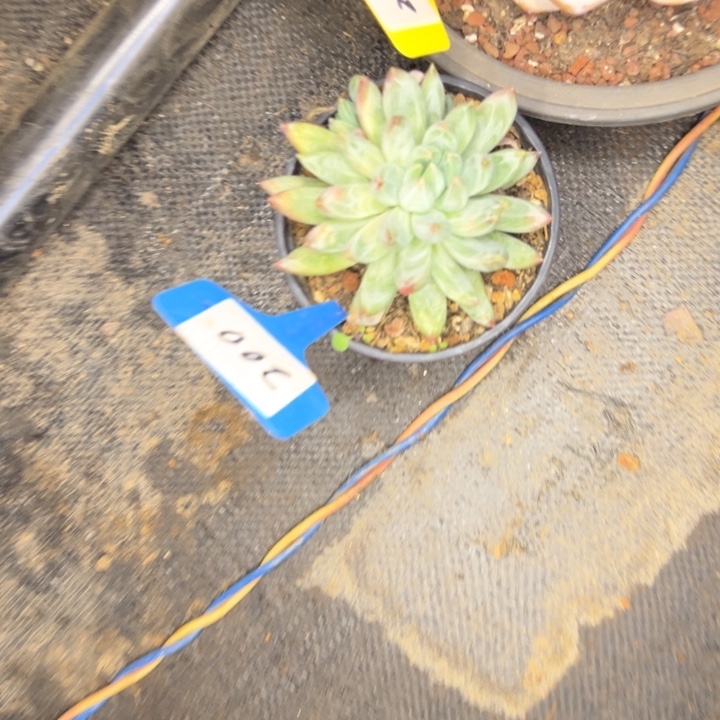 小***心200//////////////////