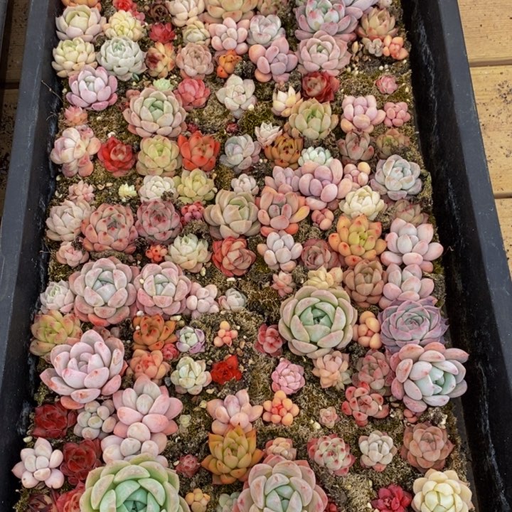 780当然这是我的人生态度