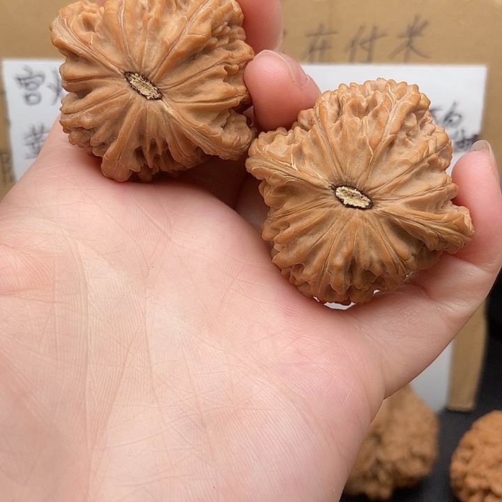 体***人大大大大大大磨盘