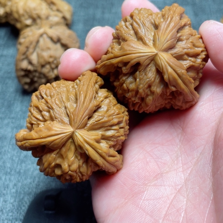 工艺三棱白狮子三棱