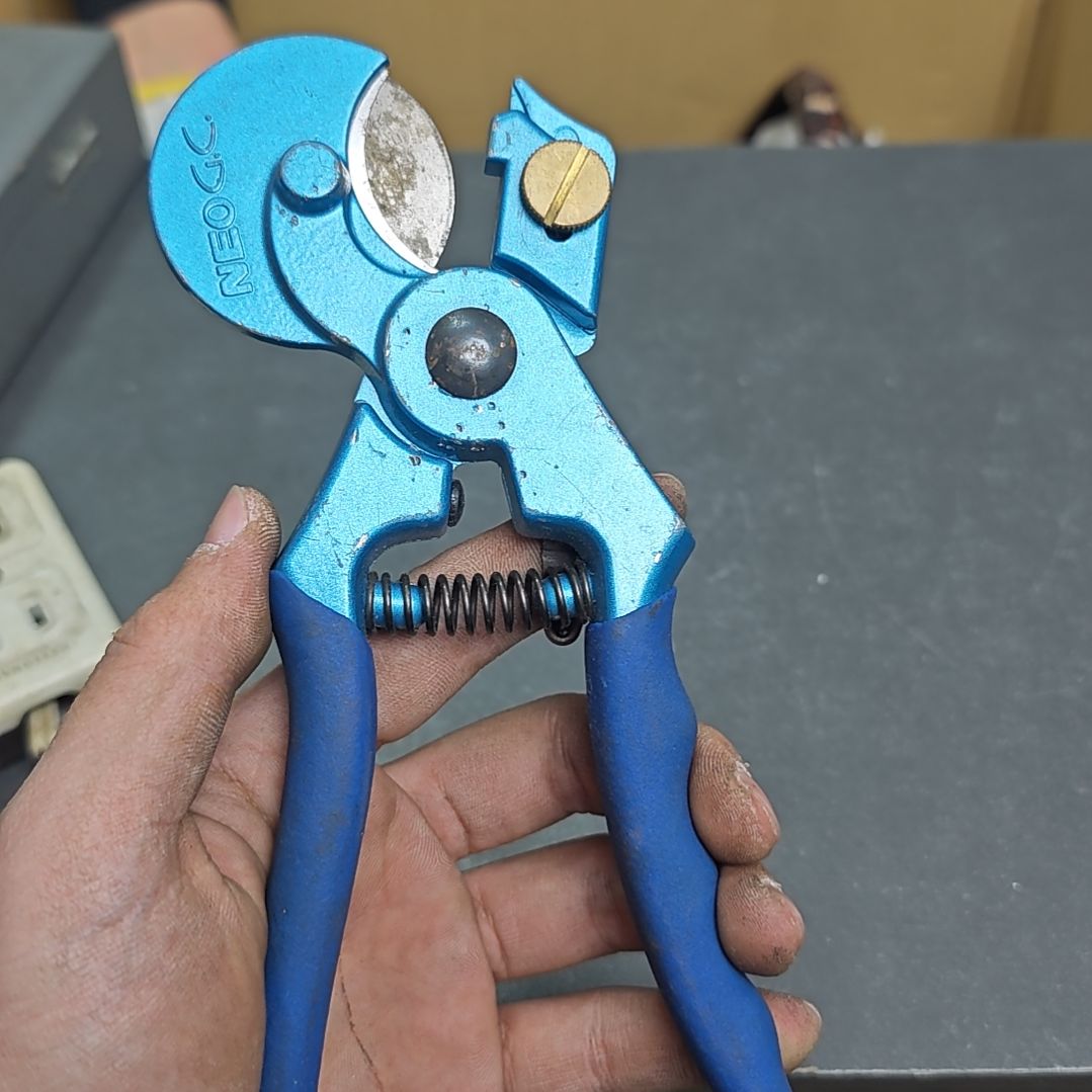 创***神噢噢噢噢噢噢噢哦哦模型