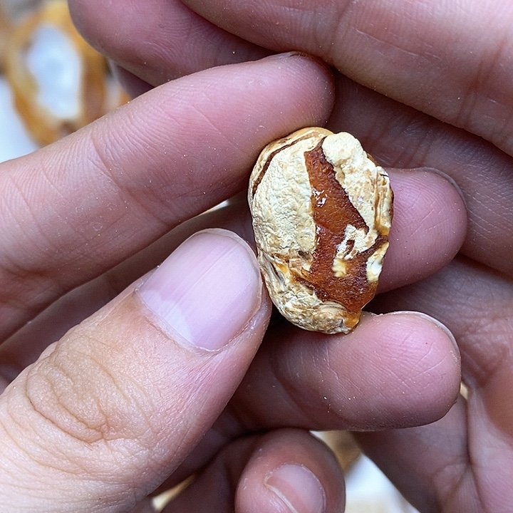 定制蜜蜡未镶嵌裸石