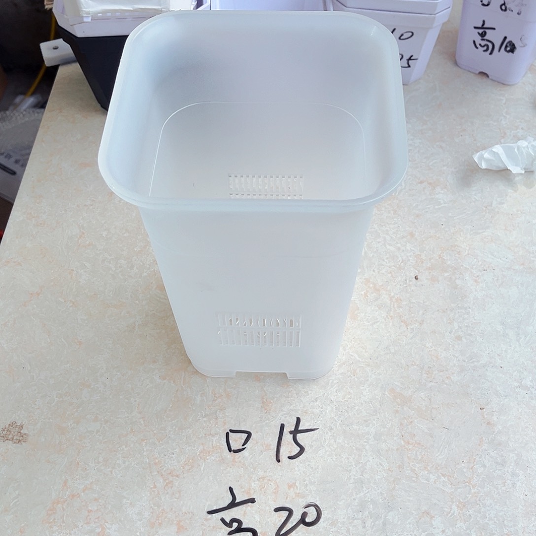 塑料加厚15方口万象半透明盆3个无托