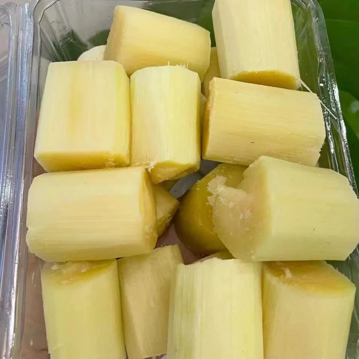 云南西双版纳冰糖甘蔗约2斤新鲜应季清甜多汁黄皮现砍