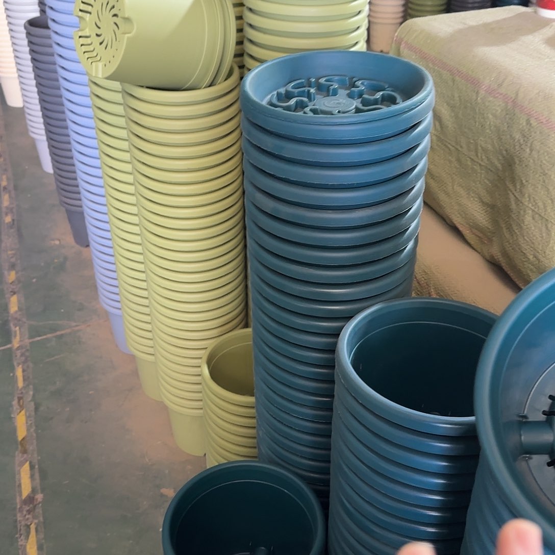 树脂四季3号无托10个颜色留言